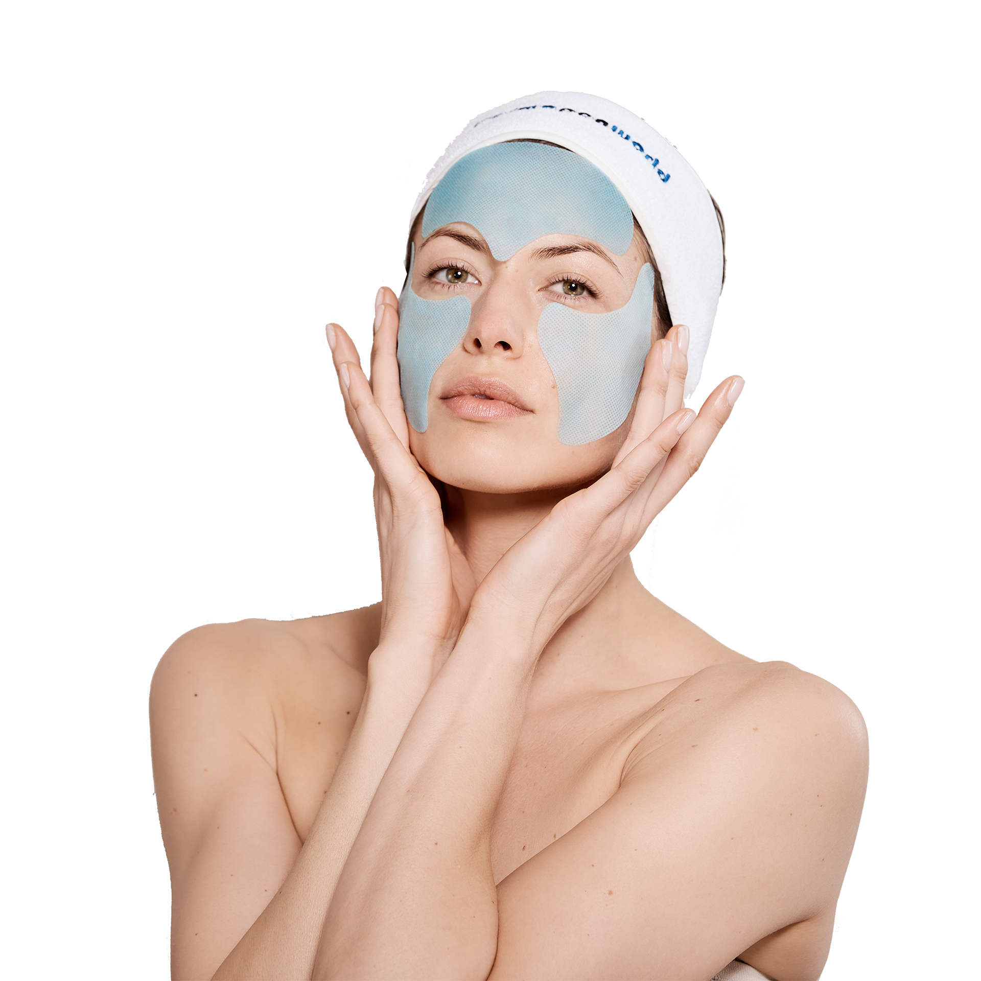 Permifuse-Model-png Permifuse-Model.png